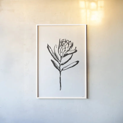 Line Protea I by Chris Paschke. shown as a paper print in a white frame. Available as a archival giclee rolled canvas, fine art paper, or poster print. SKU 64178h.