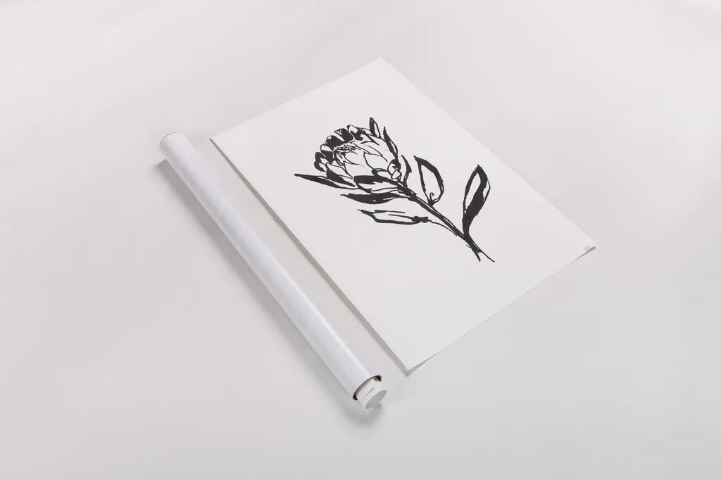 Line Protea II by Chris Paschke. shown as a rolled paper print. Available as archival giclee rolled canvas, fine art paper, or poster print. SKU 64179h.