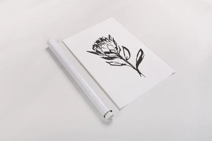 Line Protea II by Chris Paschke. shown as a rolled paper print. Available as archival giclee rolled canvas, fine art paper, or poster print. SKU 64179h.