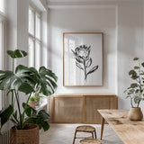 Line Protea II by Chris Paschke. shown as a print in a natural wood frame in a dining room. Available as a archival giclee rolled canvas, fine art paper, or poster print. SKU 64179h.