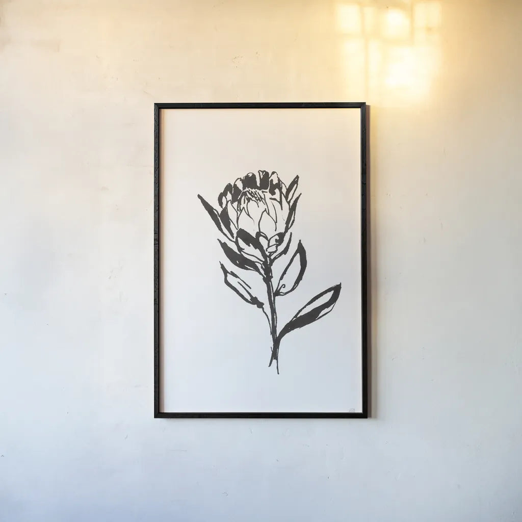 Line Protea II by Chris Paschke. shown as a paper print in a black flame. Available as a archival giclee rolled canvas, fine art paper, or poster print. SKU 64179h.