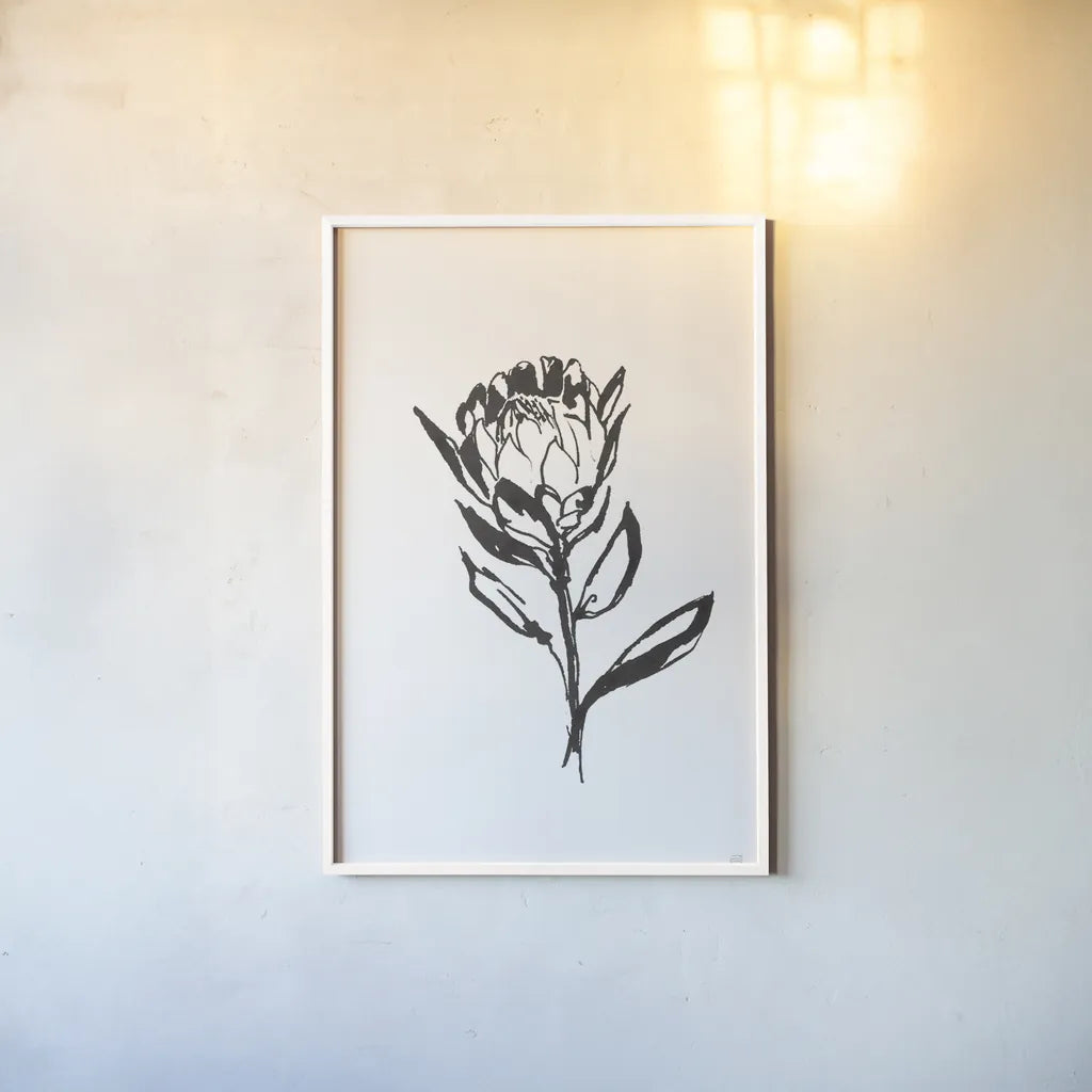 Line Protea II by Chris Paschke. shown as a paper print in a white frame. Available as a archival giclee rolled canvas, fine art paper, or poster print. SKU 64179h.