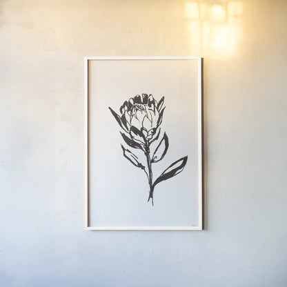 Line Protea II by Chris Paschke. shown as a paper print in a white frame. Available as a archival giclee rolled canvas, fine art paper, or poster print. SKU 64179h.