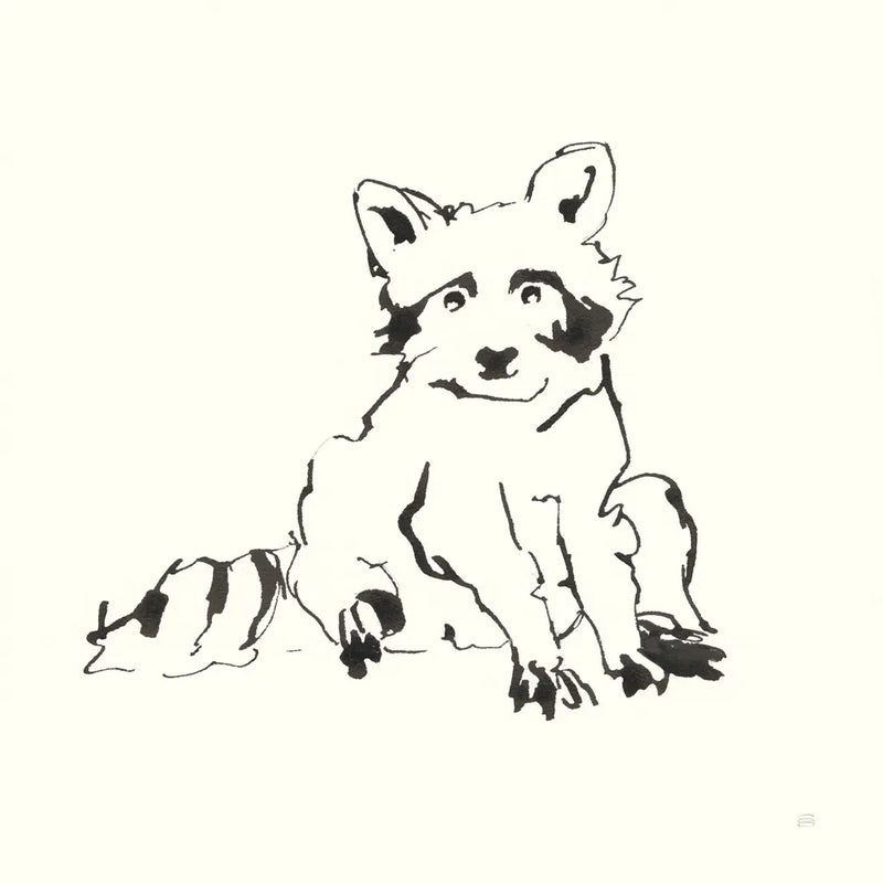 Line Raccoon by Chris Paschke. SKU 58329a. Archival Giclee Fine art print for wall decor.