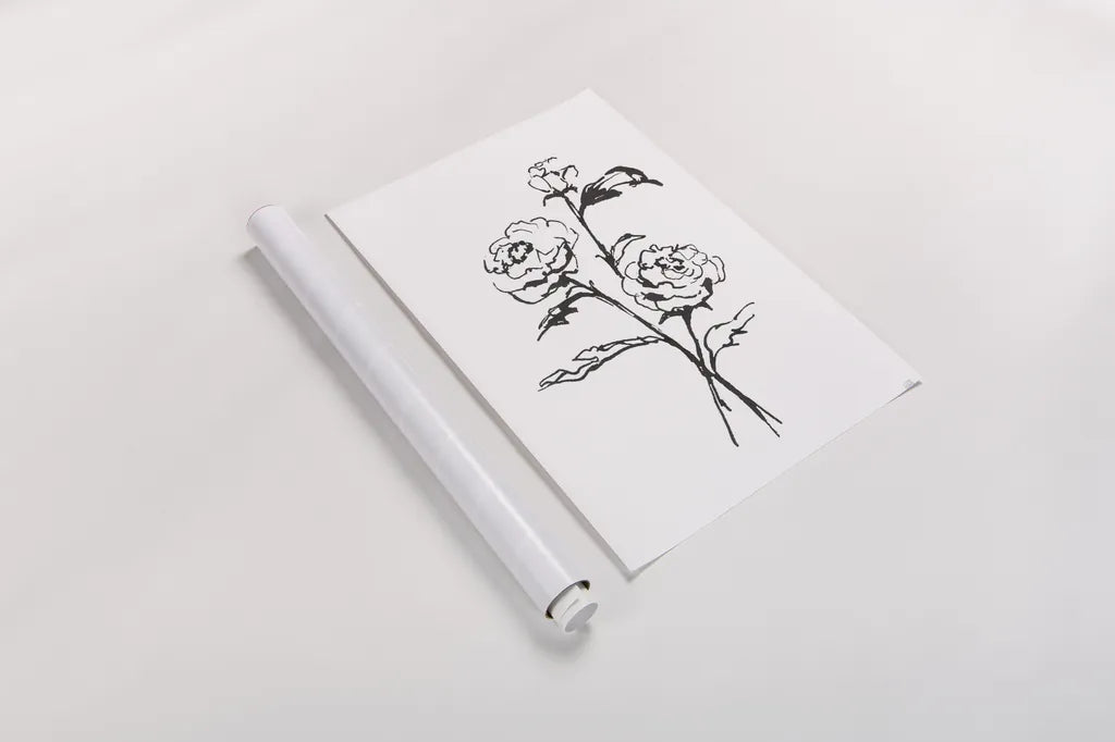 Line Ranunculus I by Chris Paschke. shown as a rolled paper print. Available as archival giclee rolled canvas, fine art paper, or poster print. SKU 64180h.