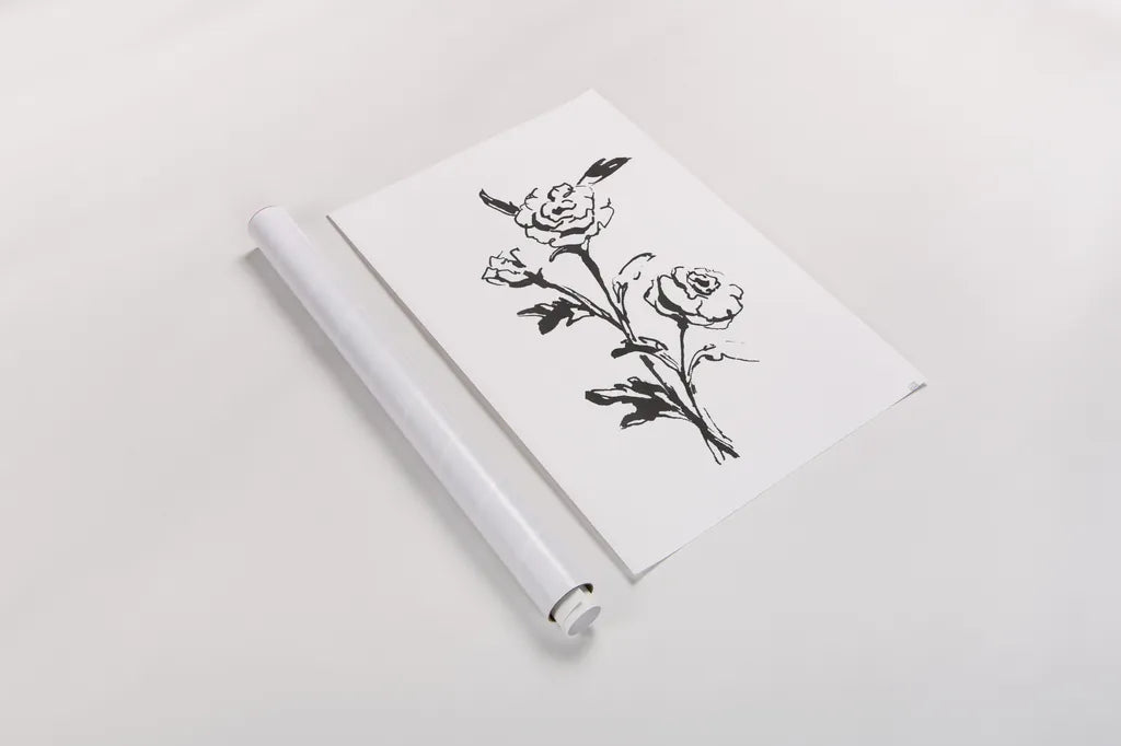 Line Ranunculus II by Chris Paschke. shown as a rolled paper print. Available as archival giclee rolled canvas, fine art paper, or poster print. SKU 64181h.