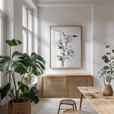 Line Ranunculus II by Chris Paschke. shown as a print in a natural wood frame in a dining room. Available as a archival giclee rolled canvas, fine art paper, or poster print. SKU 64181h.