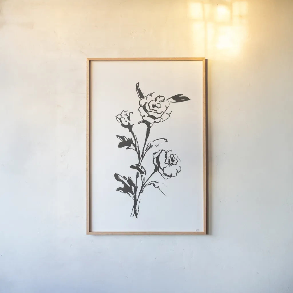 Line Ranunculus II by Chris Paschke. shown as a paper print in a natural frame. Available as a archival giclee rolled canvas, fine art paper, or poster print. SKU 64181h.