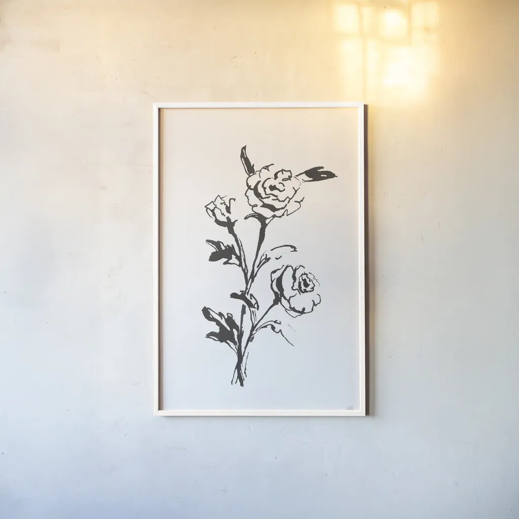 Line Ranunculus II by Chris Paschke. shown as a paper print in a white frame. Available as a archival giclee rolled canvas, fine art paper, or poster print. SKU 64181h.