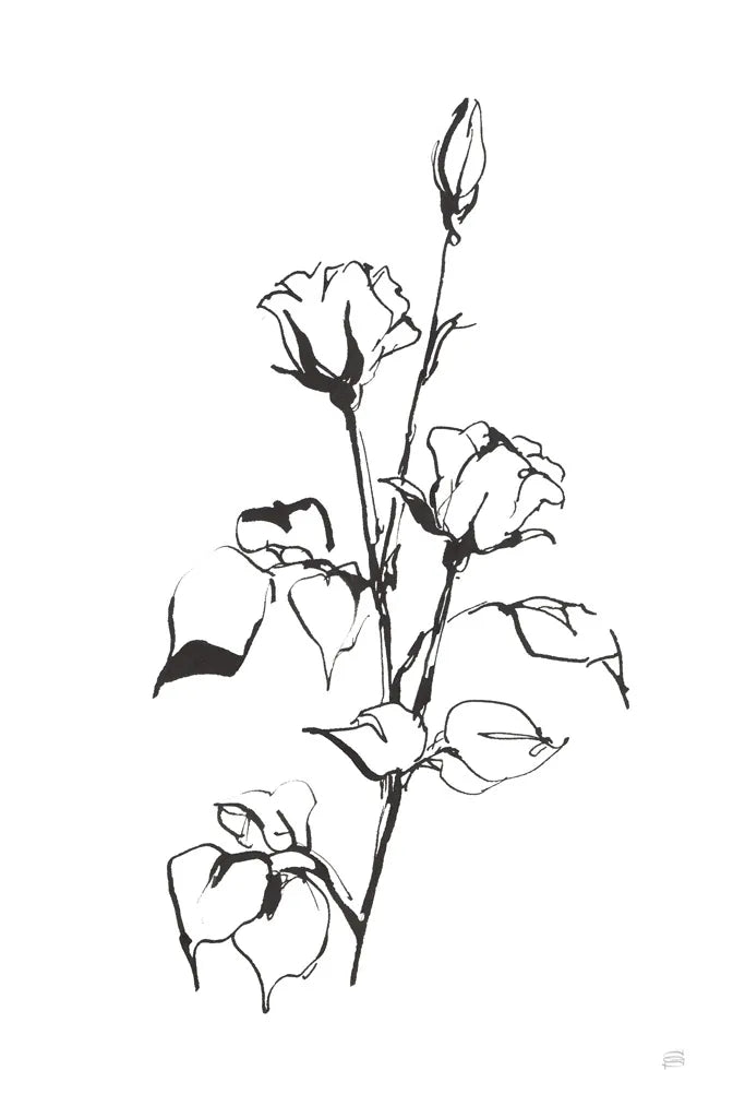 Line Rosebuds by Chris Paschke. SKU 64194h. Archival Giclee Fine art print for wall decor.