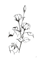 Line Rosebuds by Chris Paschke. SKU 64194h. Archival Giclee Fine art print for wall decor.