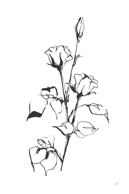 Line Rosebuds by Chris Paschke. SKU 64194h. Archival Giclee Fine art print for wall decor.