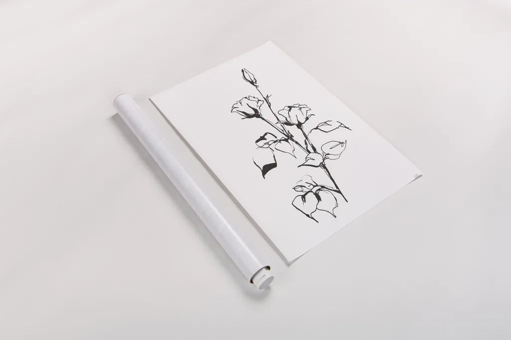 Line Rosebuds by Chris Paschke. shown as a rolled paper print. Available as archival giclee rolled canvas, fine art paper, or poster print. SKU 64194h.