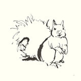 Line Squirrel by Chris Paschke. SKU 58330a. Archival Giclee Fine art print for wall decor.