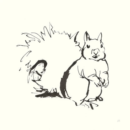 Line Squirrel by Chris Paschke. SKU 58330a. Archival Giclee Fine art print for wall decor.