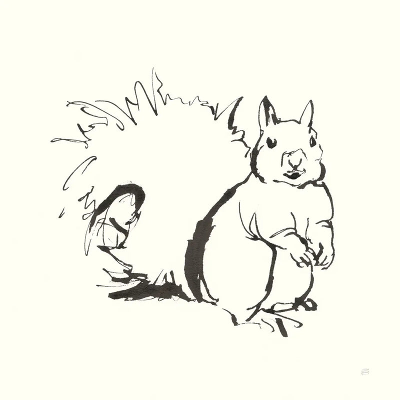 Line Squirrel by Chris Paschke. SKU 58330a. Archival Giclee Fine art print for wall decor.