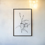 Line Tiger Lily by Chris Paschke. shown as a paper print in a black flame. Available as a archival giclee rolled canvas, fine art paper, or poster print. SKU 64193h.