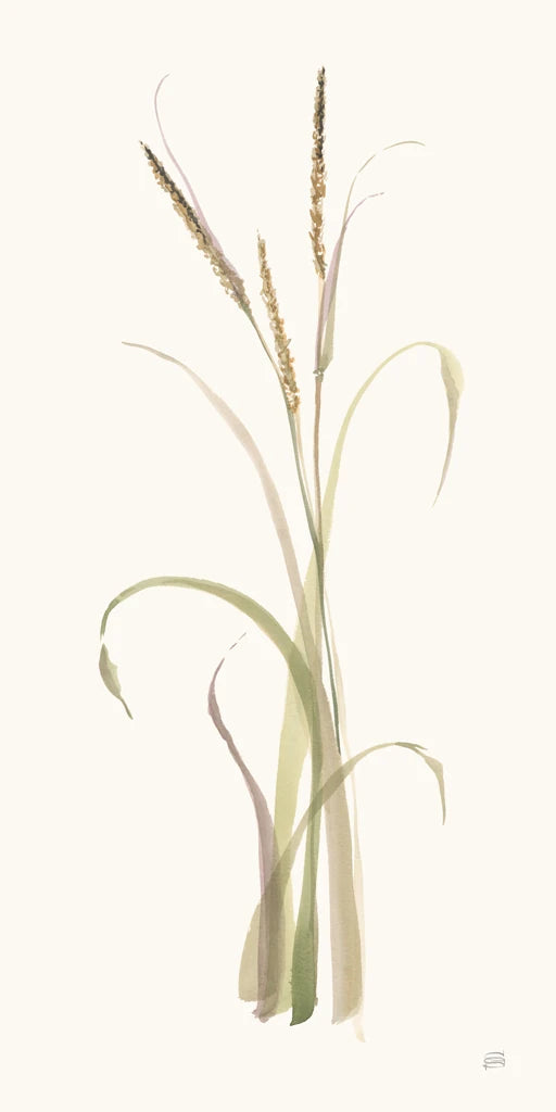 Lyme Grass by Chris Paschke