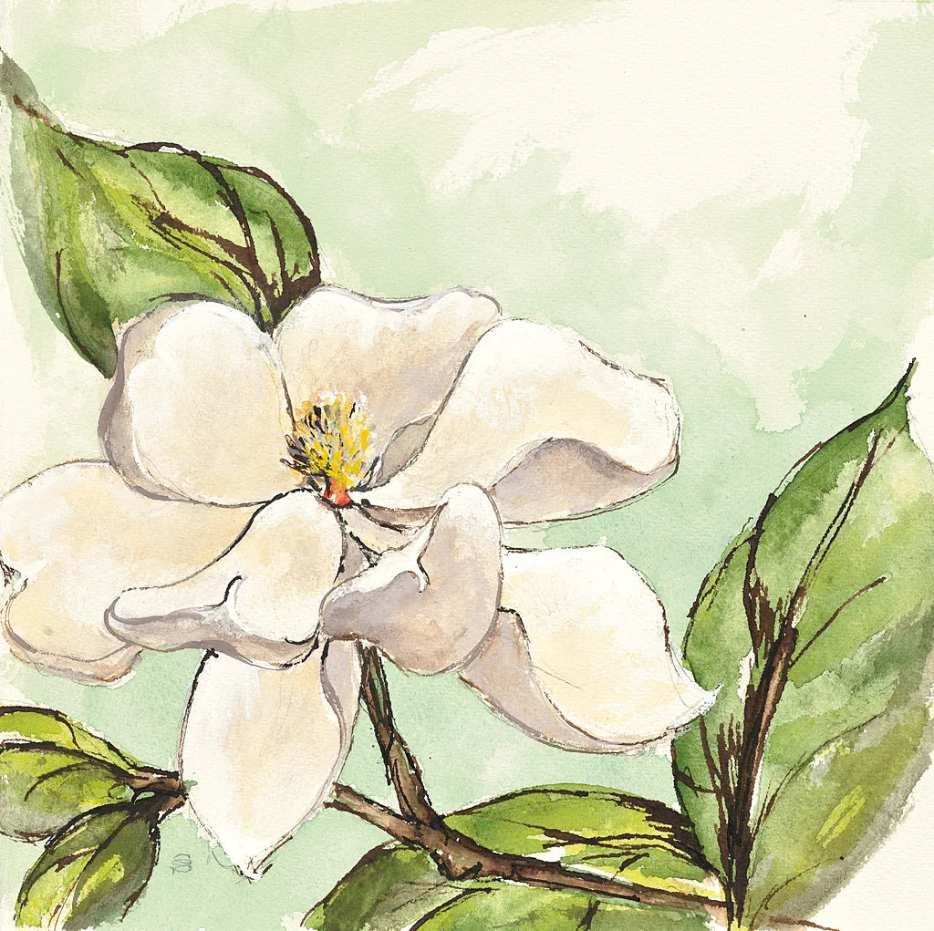 Magnolia I by Chris Paschke. SKU 39215a. Archival Giclee Fine art print for wall decor.