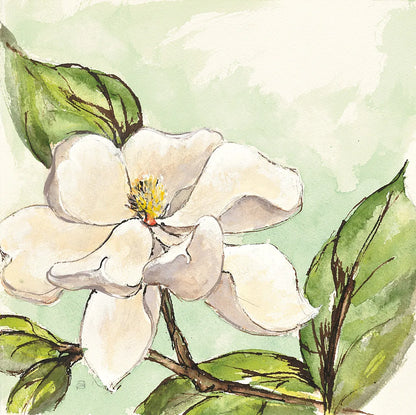 Magnolia I by Chris Paschke. SKU 39215a. Archival Giclee Fine art print for wall decor.