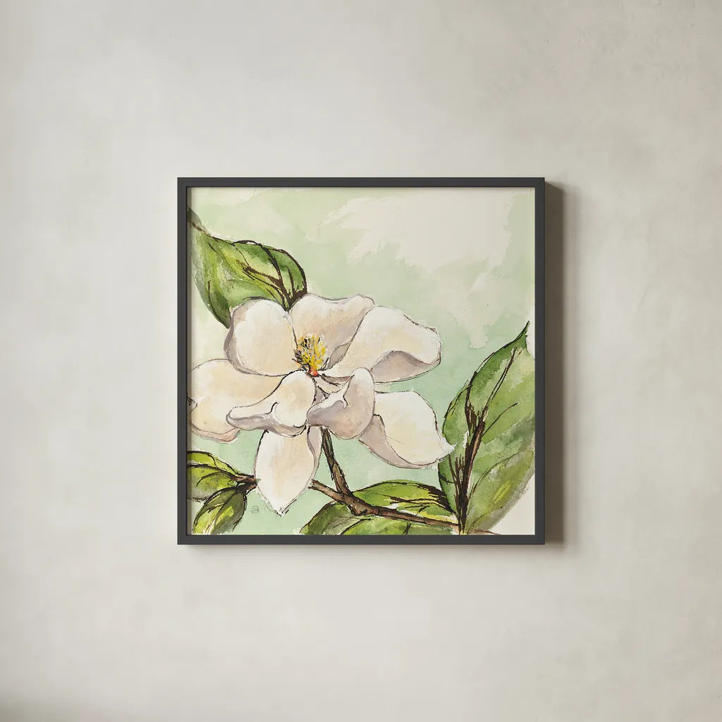 Magnolia I by Chris Paschke. Shown in a sleek black glass frame for a contemporary gallery look. Available as an archival giclee rolled canvas, fine art paper, or poster print. SKU 39215a.