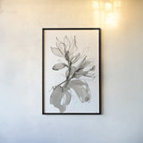 Magnolia I by Chris Paschke. shown as a paper print in a black flame. Available as a archival giclee rolled canvas, fine art paper, or poster print. SKU 74366h.