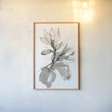Magnolia I by Chris Paschke. shown as a paper print in a natural frame. Available as a archival giclee rolled canvas, fine art paper, or poster print. SKU 74366h.