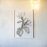Magnolia I by Chris Paschke. shown as a paper print in a white frame. Available as a archival giclee rolled canvas, fine art paper, or poster print. SKU 74366h.