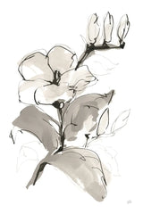 Magnolia II by Chris Paschke. SKU 74367h. Archival Giclee Fine art print for wall decor.