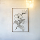 Magnolia II by Chris Paschke. shown as a paper print in a black flame. Available as a archival giclee rolled canvas, fine art paper, or poster print. SKU 74367h.