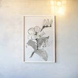Magnolia II by Chris Paschke. shown as a paper print in a white frame. Available as a archival giclee rolled canvas, fine art paper, or poster print. SKU 74367h.