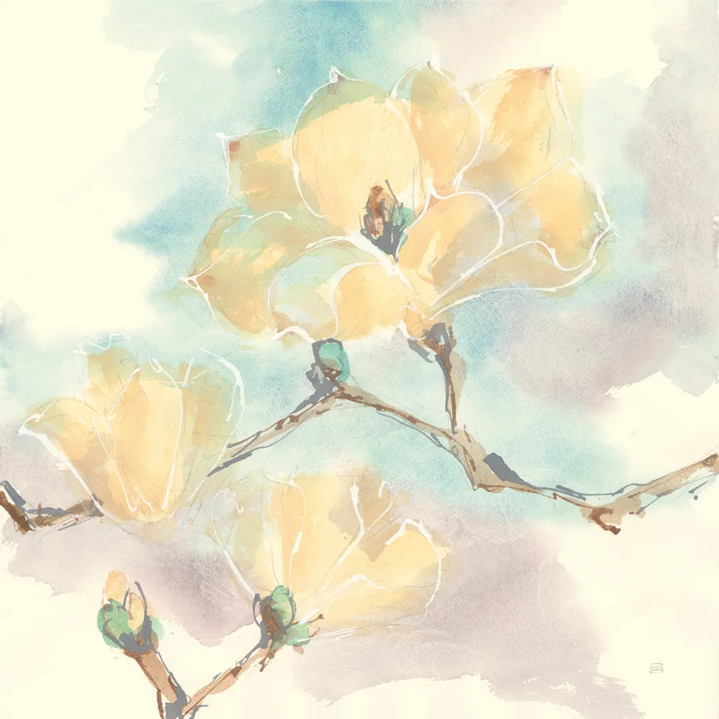 Magnolias in White I by Chris Paschke. SKU 45476a. Archival Giclee Fine art print for wall decor.