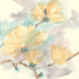 Magnolias in White II by Chris Paschke. SKU 45477a. Archival Giclee Fine art print for wall decor.