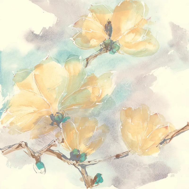 Magnolias in White II by Chris Paschke. SKU 45477a. Archival Giclee Fine art print for wall decor.