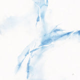 Marble Blue I by Chris Paschke. SKU 92789a. Archival Giclee Fine art print for wall decor.