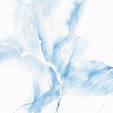 Marble Blue III by Chris Paschke. SKU 92791a. Archival Giclee Fine art print for wall decor.