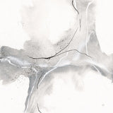 Marble Grey II by Chris Paschke. SKU 92786a. Archival Giclee Fine art print for wall decor.