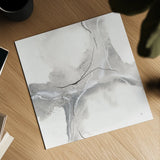 Marble Grey II by Chris Paschke. Shown as a detailed flat fine art print, highlighting archival giclee quality. Available as an archival giclee rolled canvas, fine art paper, or poster print. SKU 92786a.