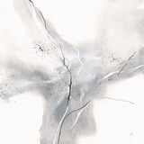 Marble Grey III by Chris Paschke. SKU 92787a. Archival Giclee Fine art print for wall decor.