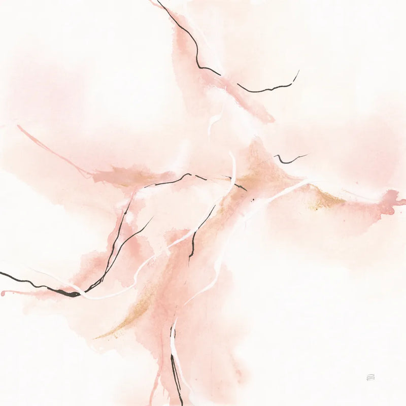 Marble Pink IV by Chris Paschke. SKU 92796a. Archival Giclee Fine art print for wall decor.