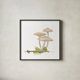 Mellow Mushrooms I by Chris Paschke. Shown in a sleek black glass frame for a contemporary gallery look. Available as an archival giclee rolled canvas, fine art paper, or poster print. SKU 84539a.
