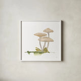 Mellow Mushrooms I by Chris Paschke. Shown in a crisp white glass frame for a clean and minimalist style. Available as an archival giclee rolled canvas, fine art paper, or poster print. SKU 84539a.