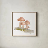 Mellow Mushrooms II by Chris Paschke. Shown in a natural wood glass frame for a timeless modern aesthetic. Available as an archival giclee rolled canvas, fine art paper, or poster print. SKU 84540a.