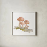Mellow Mushrooms II by Chris Paschke. Shown in a crisp white glass frame for a clean and minimalist style. Available as an archival giclee rolled canvas, fine art paper, or poster print. SKU 84540a.