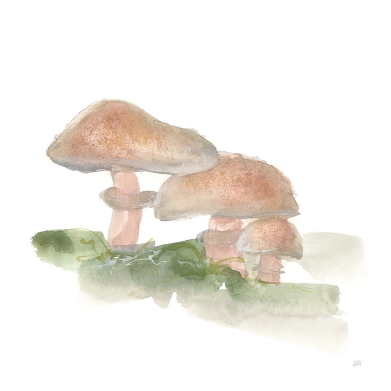 Mellow Mushrooms III by Chris Paschke. SKU 84541a. Archival Giclee Fine art print for wall decor.