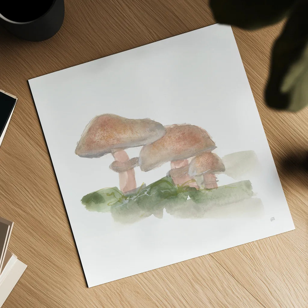 Mellow Mushrooms III by Chris Paschke. Shown as a detailed flat fine art print, highlighting archival giclee quality. Available as an archival giclee rolled canvas, fine art paper, or poster print. SKU 84541a.