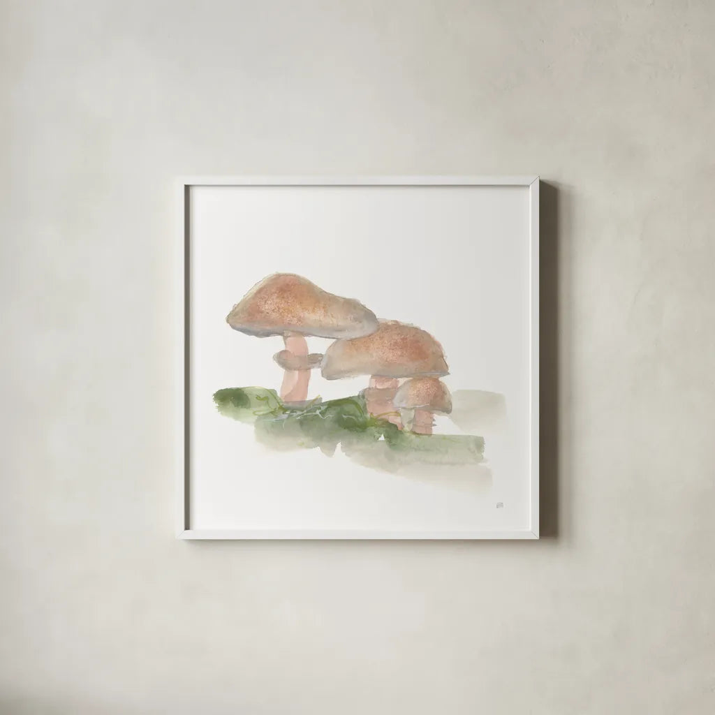 Mellow Mushrooms III by Chris Paschke. Shown in a crisp white glass frame for a clean and minimalist style. Available as an archival giclee rolled canvas, fine art paper, or poster print. SKU 84541a.