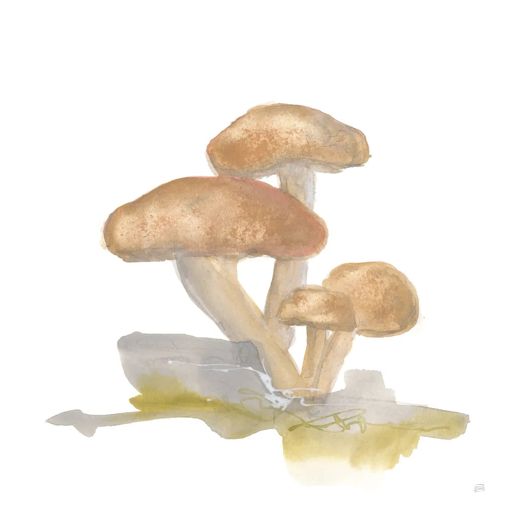 Mellow Mushrooms IV by Chris Paschke. SKU 84542a. Archival Giclee Fine art print for wall decor.