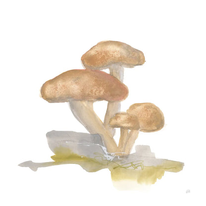 Mellow Mushrooms IV by Chris Paschke. SKU 84542a. Archival Giclee Fine art print for wall decor.
