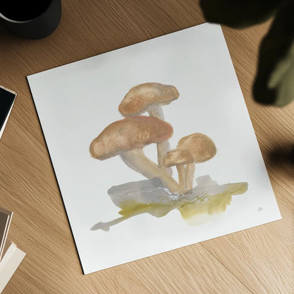 Mellow Mushrooms IV by Chris Paschke. Shown as a detailed flat fine art print, highlighting archival giclee quality. Available as an archival giclee rolled canvas, fine art paper, or poster print. SKU 84542a.